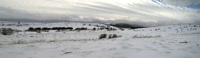 Panorama of a winter cloudy landscape
