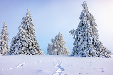 Winterberg