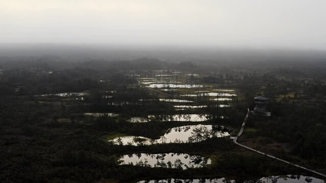 Foggy bog lakes in the morning