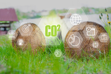 CO2 reduce concept.Green energy concept help reduce global warming.Carbon dioxide emission in...