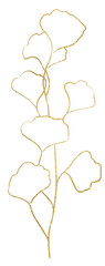 Hand drawn twig with leaves, golden outlines, isolated illustration, wedding stationery element