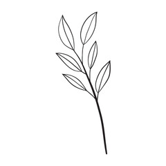 Hand drawing art of leaf. Vector illustration.