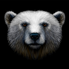 A color, graphic portrait of a polar bear on a black background.
