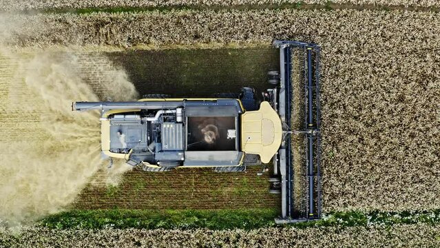 Combine harvester harvesting corn in the field aerial view