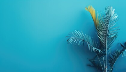 Minimalistic blue fern against clear blue wall, minimalistic light blue background