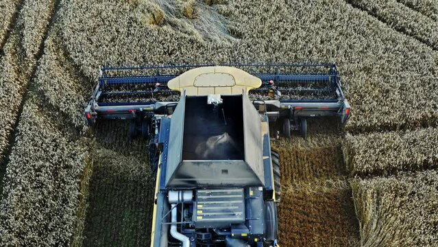 Combine harvester harvesting corn in the field view from the top