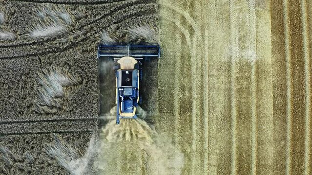 Combine harvester harvesting corn in the field view from the sky