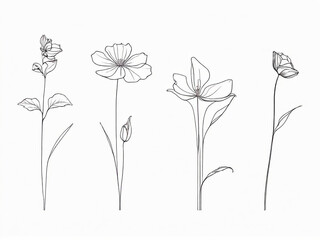continuous-line-drawing-set-of-flowers-plants-one-line-illustration-minimalist-prints-vector-illus