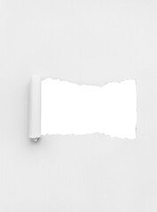 White Torn Paper Background