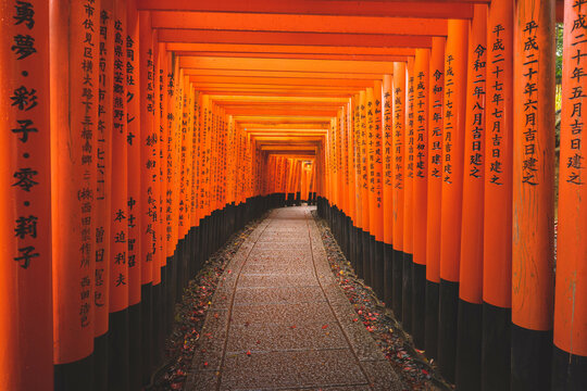 伏見稲荷大社 Images – Browse 3,914 Stock Photos, Vectors