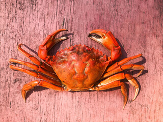 Boiled red crab