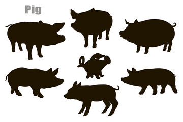 Pig. In the animal world. Black and white image. Vector drawing.