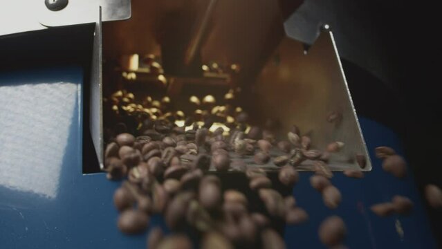 Roasted coffee beans fall out of the chiller. Arabica beans are poured and rotated. Industrial roasting and production, coffee industry. Close-up, brown grains fall down to be filled into packages.