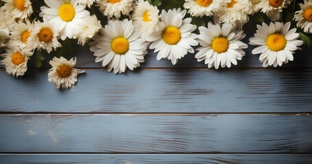 daisies on a table. daisies on wooden background top view. daisy flowers isolated on blue wooden background for spring time Mother's Day. White and yellow daisy flower background. floral frame. floral