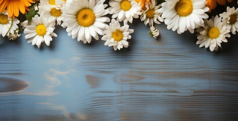 Obraz premium daisies on wooden background top view. daisy flowers isolated on blue wooden background for spring time Mother's Day. White and yellow daisy flower background. floral frame. floral background