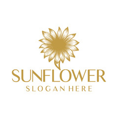 Sunflower, floral logo vector illustration
