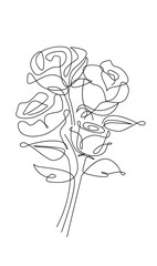One line drawing. Garden rose with leaves. Hand drawn sketch. template