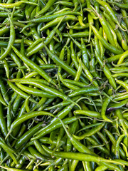 Fresh green chillies.this photo was taken from Chittagong,Bangladesh.