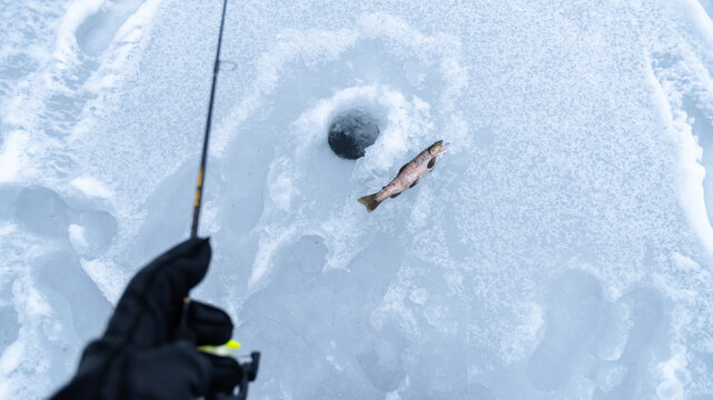 Ice fishing copy space image first person view perspective selective focus trout cold