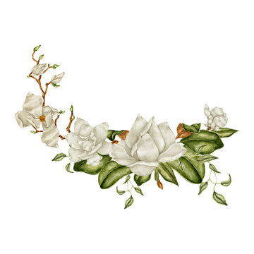Watercolor white magnolia bouquet Illustration