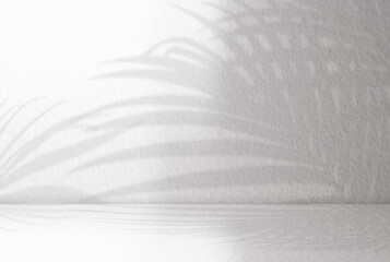 White Studio background with Palm Leaves shadow with light on grey concrete wall texture,Empty...