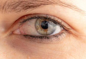 Close-up of a woman's eyes. Macro