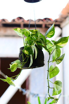 A reciclagem de pneus &eacute; a maneira mais f&aacute;cil e direta para quem busca economia e sustentabilidade nos dias atuais.
