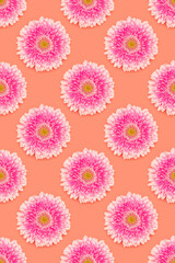 Fototapeta na wymiar Pattern made of pink gerbera flowers on a coral background.