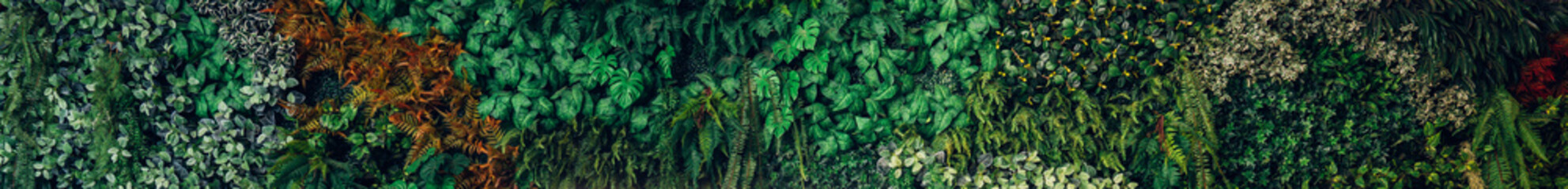 Close up group of background green leaves texture and Abstract Nature Background. Lush Foliage Textures. Exotic Greenery and Botanical Patterns.