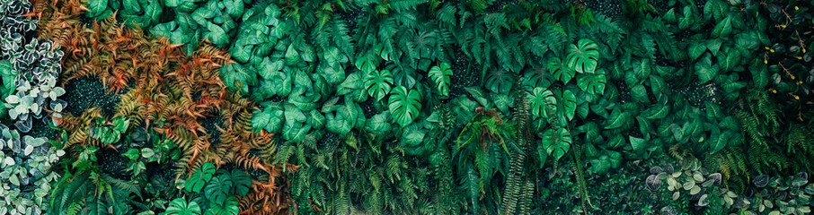 Obraz premium Close up group of background green leaves texture and Abstract Nature Background. Lush Foliage Textures. Exotic Greenery and Botanical Patterns.