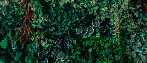 Close up group of background green leaves texture and Abstract Nature Background. Lush Foliage...