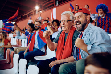 Happy mature man and his senior father cheering during sports match at stadium.
