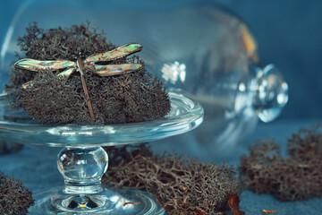Dragonfly brooch on a glass stand with reindeer moss. Iridescent jewelry, gray lichen and open...
