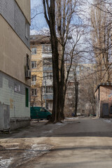 KYIV, UKRAINE - JANUARY 29, 2024: Old houses stand in Borshchahivka district. the sun is shining outside, the sky is blue. Borshchahivka is a calm and cozy area. People and cats are walking.