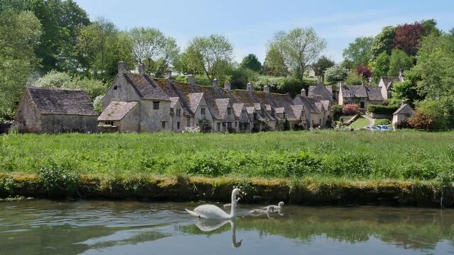 White Swans swimming in front of old village Bibury in England
