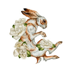 Watercolor vintage hare with magnolia clipart Illustration