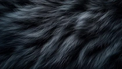 Foto op Plexiglas Sleek Black Panther Fur Texture Close-Up © John