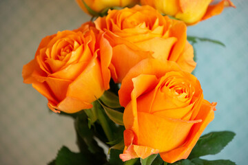 オレンジ色のバラ
