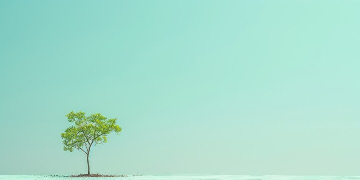 Banner with copy space and a single tree sapling on the left, symbolizing reforestation and the growth of new life, set against a minimalist sky blue background.