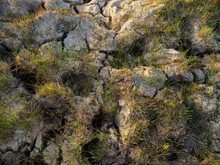 Global warming, dry, cracked soil