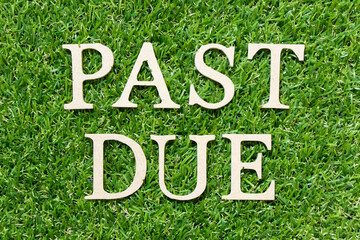 Wood letter in word past due on green grass background
