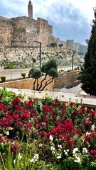 Jerusalem walls, David tower