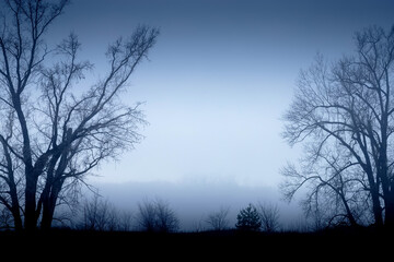 Fototapeta na wymiar Mysterious landscape. Silhouettes of trees in the fog at autumn cloudy day