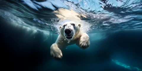 Fotobehang underwater photograph of a polar bear (Ursus maritimus) swimming in the arctic ocean © juancajuarez