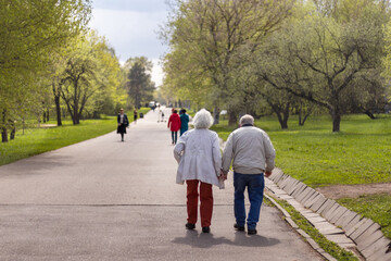 Senior couple, holding hands, strolling through spring park. Happy old age