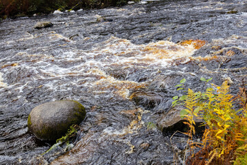 background of a dark water surface with ripples and waves. The surface of the water in the autumn forest. Abstract background. texture of a dark autumn water in the river