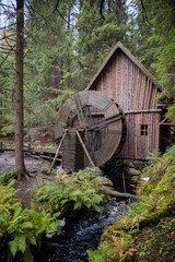 Old wooden water mill in a coniferous forest. Old watermill in the middle of the forest. rural, rustic,