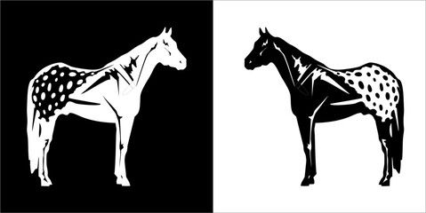 Illustration vector graphics of horse icon