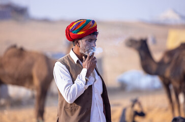Portrait of an old male from rajasthan in traditional white dress and colourful turban with camel...