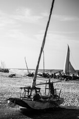 Barco